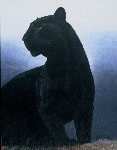 Blackpanther - 36.jpg